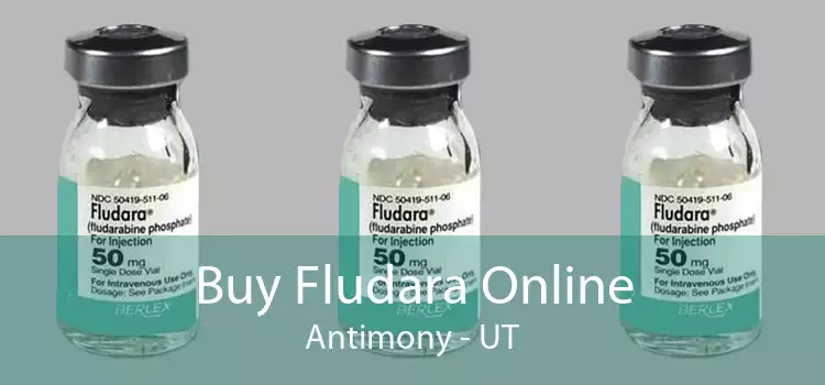 Buy Fludara Online Antimony - UT