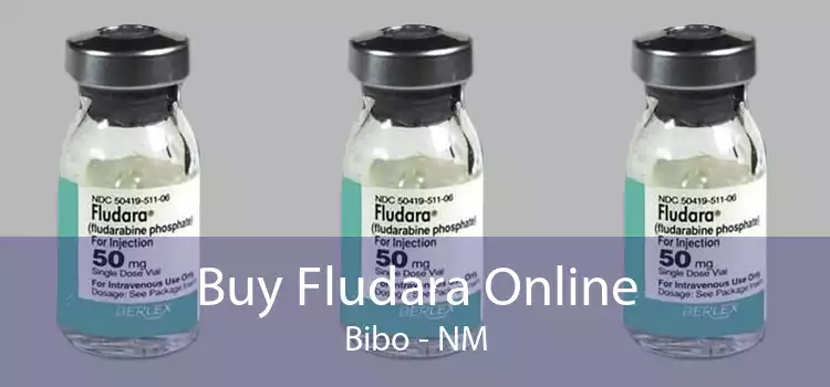 Buy Fludara Online Bibo - NM