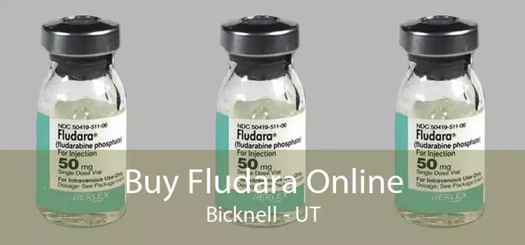 Buy Fludara Online Bicknell - UT