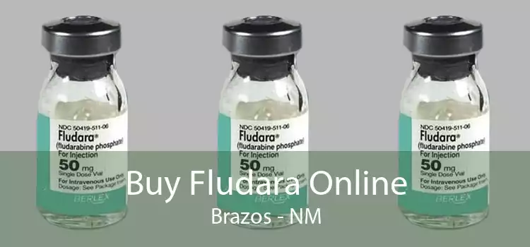 Buy Fludara Online Brazos - NM