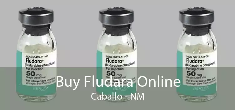 Buy Fludara Online Caballo - NM