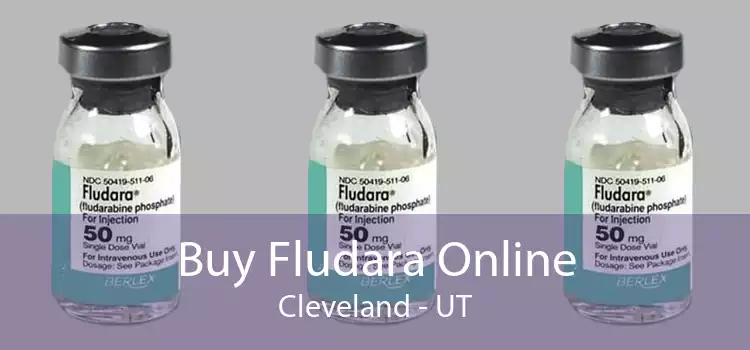 Buy Fludara Online Cleveland - UT