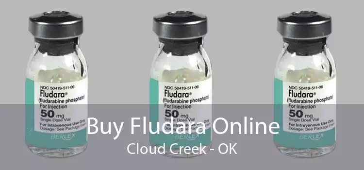 Buy Fludara Online Cloud Creek - OK