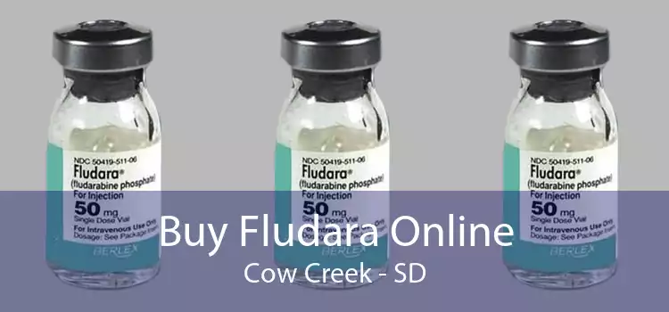 Buy Fludara Online Cow Creek - SD
