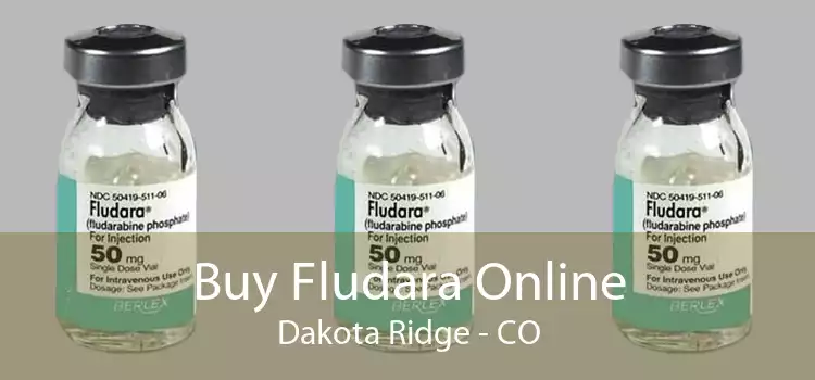 Buy Fludara Online Dakota Ridge - CO